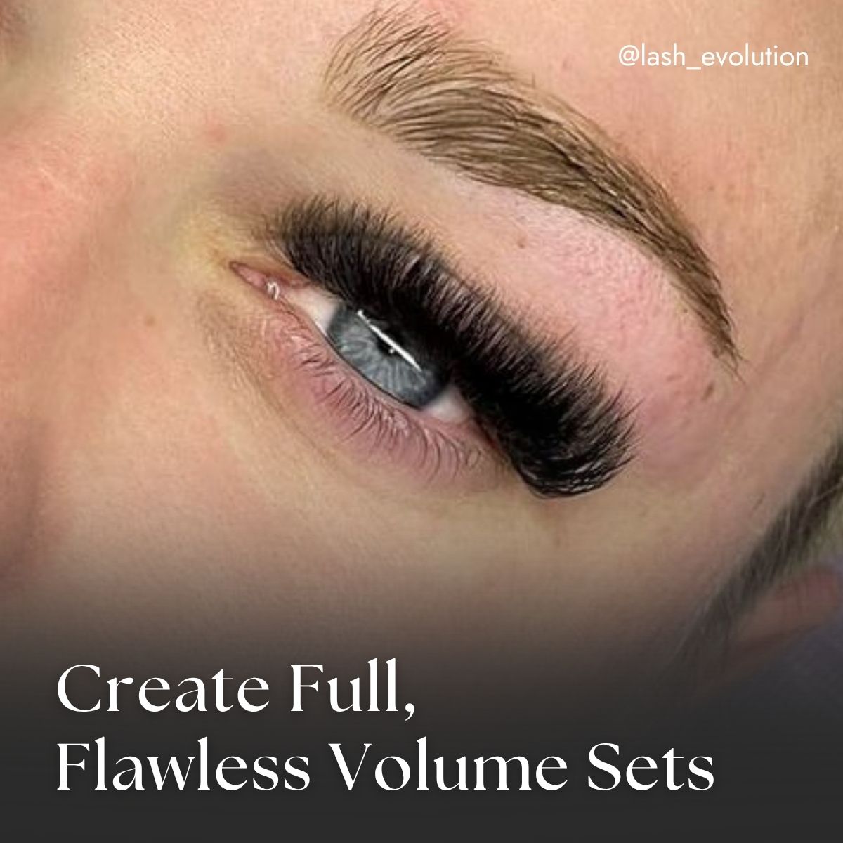 12D Promade Volume Set by @lash_evolution