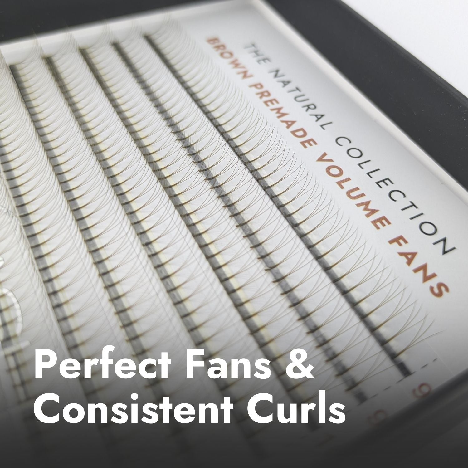 3D Brown Premade Fans - Long Stem Close Up