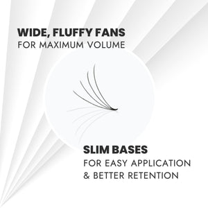 4D Promade Volume Fans - Wide Fans Slim Bases