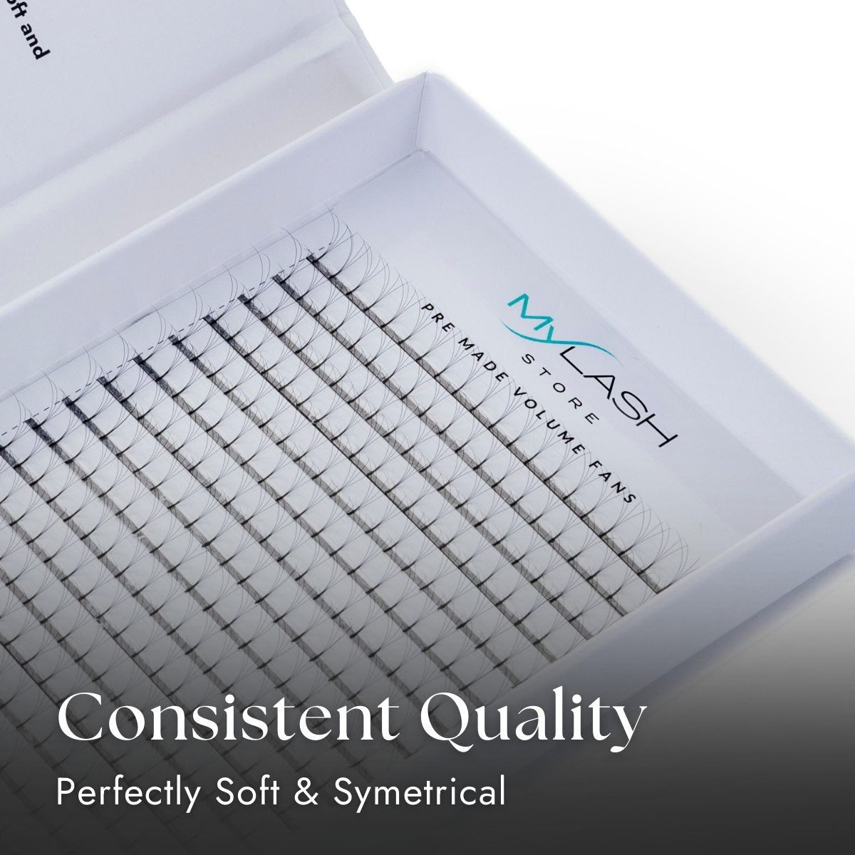 4D Long Stem Premade Fans Close Up