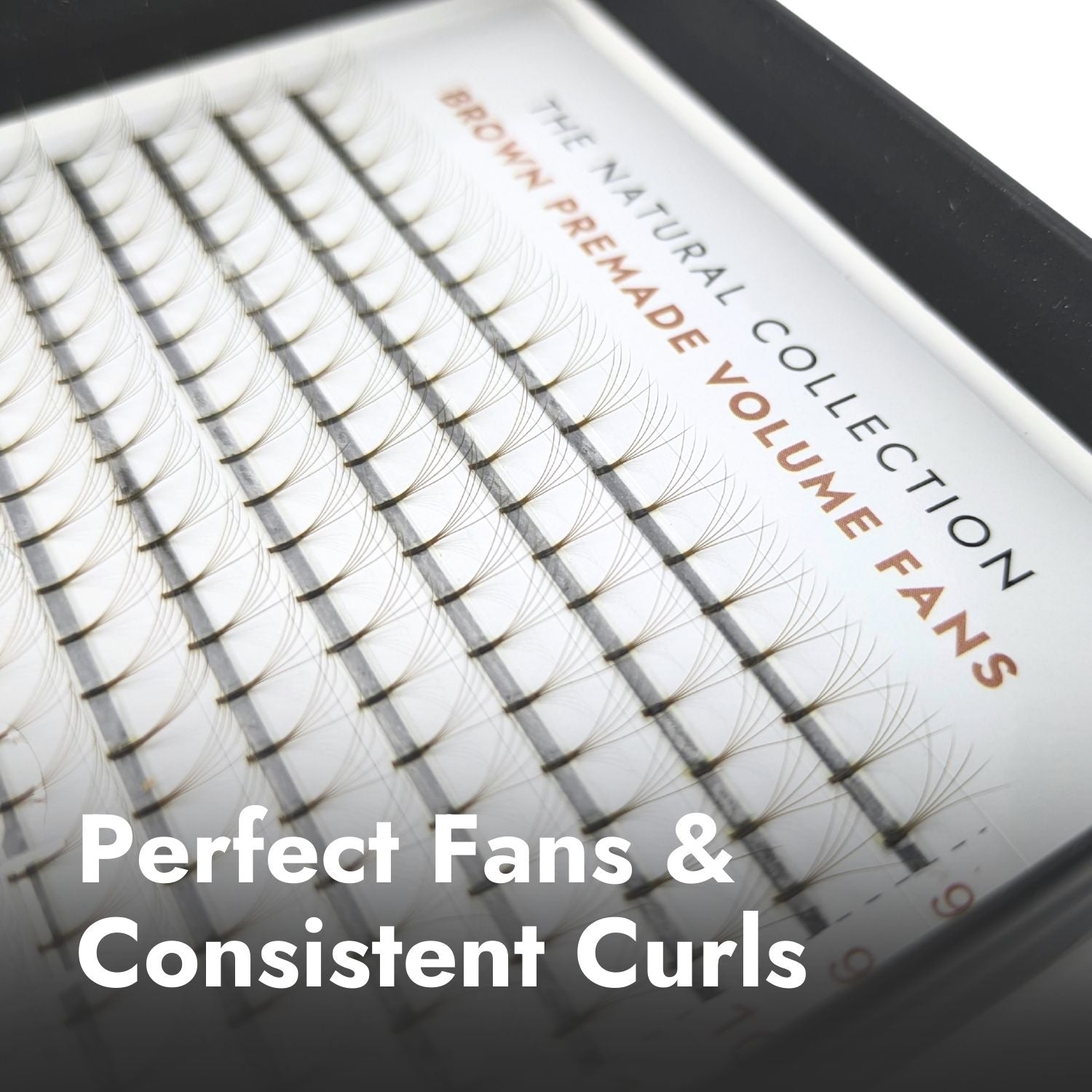 5D Brown Premade Fans - Long Stem Close Up