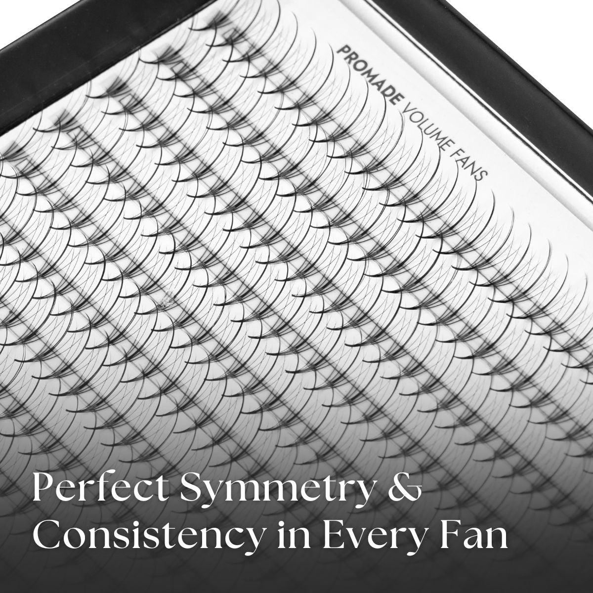 5D Wispy Promade Fans Close Up