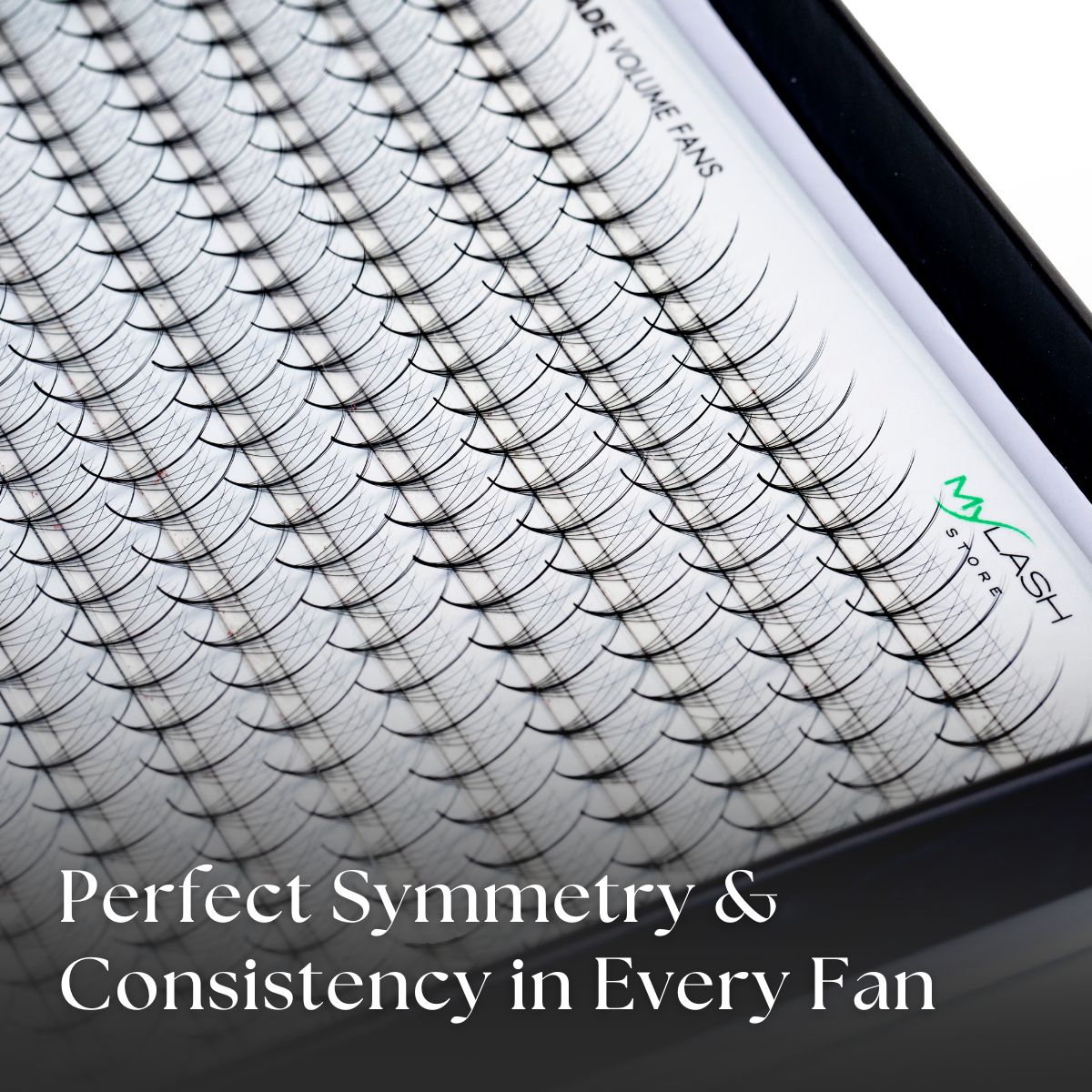 9D Wispy Promade Volume Fans Close Up