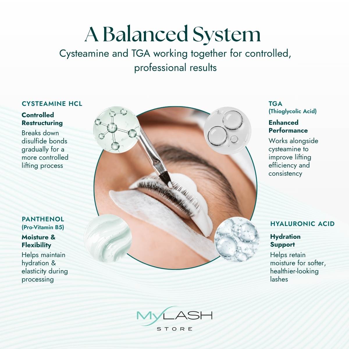 Total Care lash lift & brow lamination system main ingredients graphics on a white background
