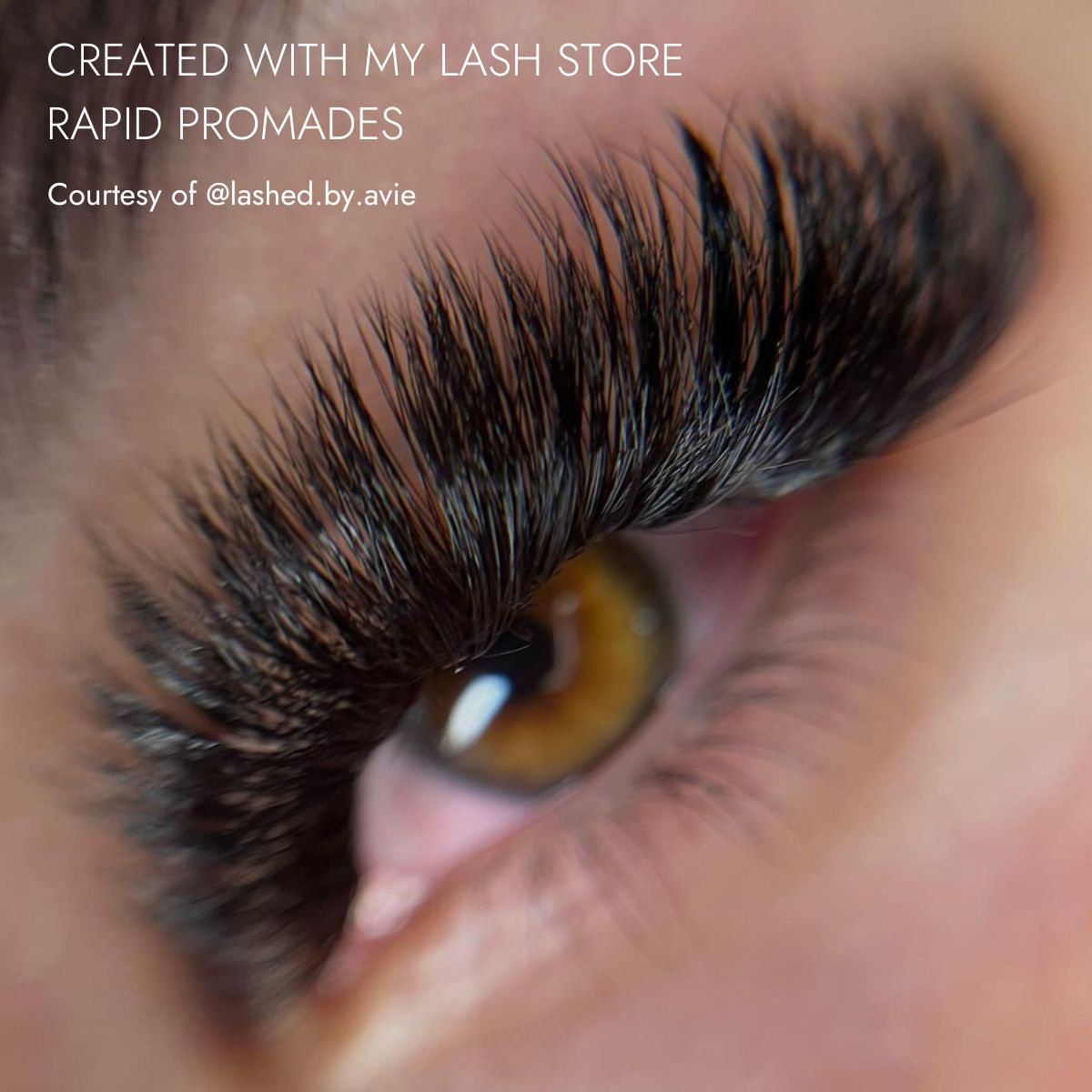 Created With My Lash Store Rapid Promade Fans