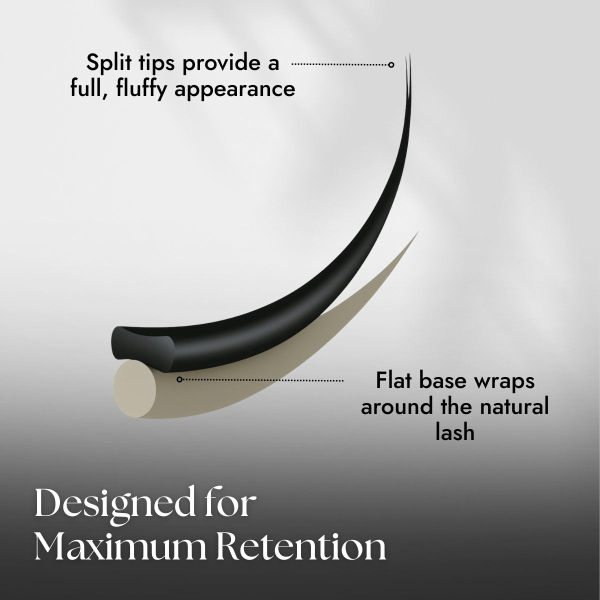 Ellipse Flat Lash Diagram