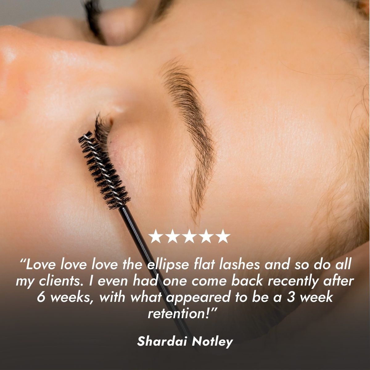 Ellipse Flat Lash Customer Review