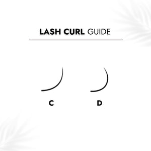 7D Loose Promade Fans - Lash Curl Guide