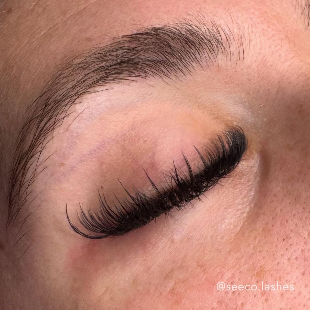 @seeco.lashes Wispy Promade Volume Fan Set