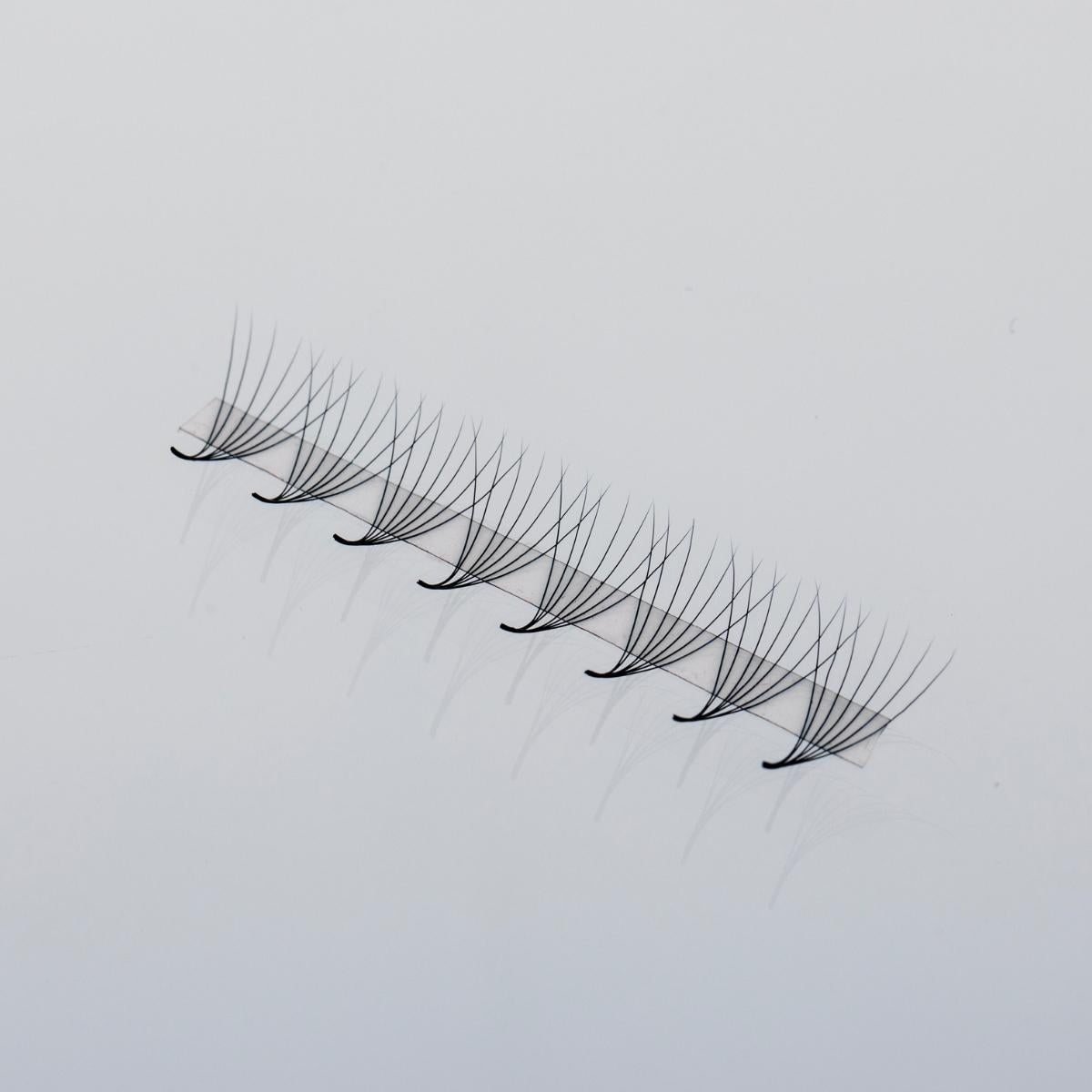 7D Rapid Promade Volume Fans Lash Strip