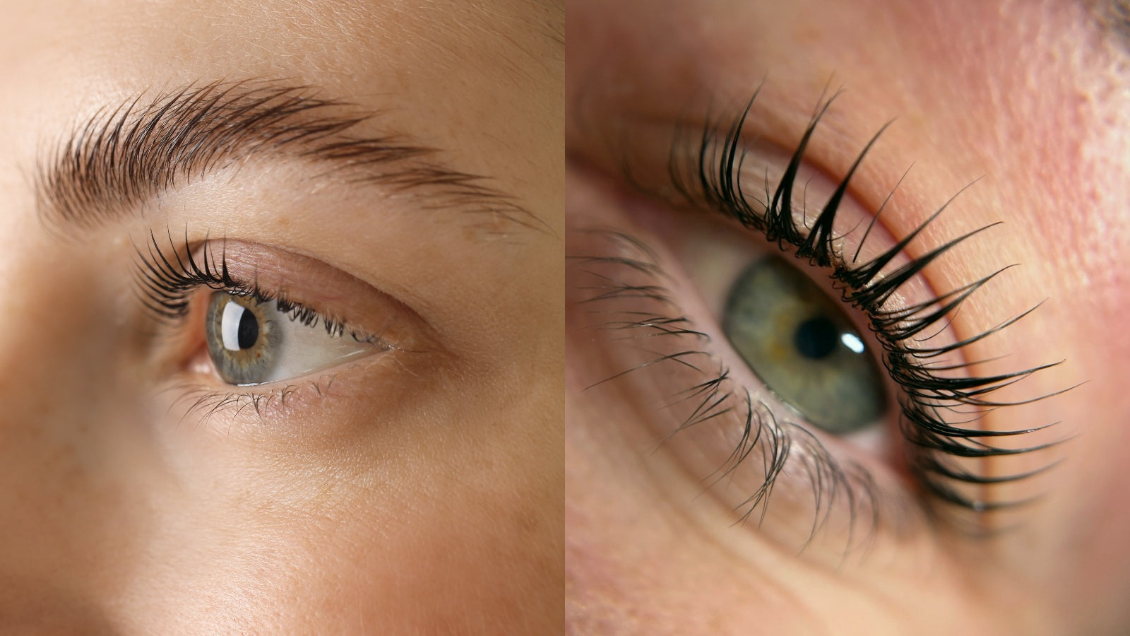 Lash Lift & Brow Lamination Products