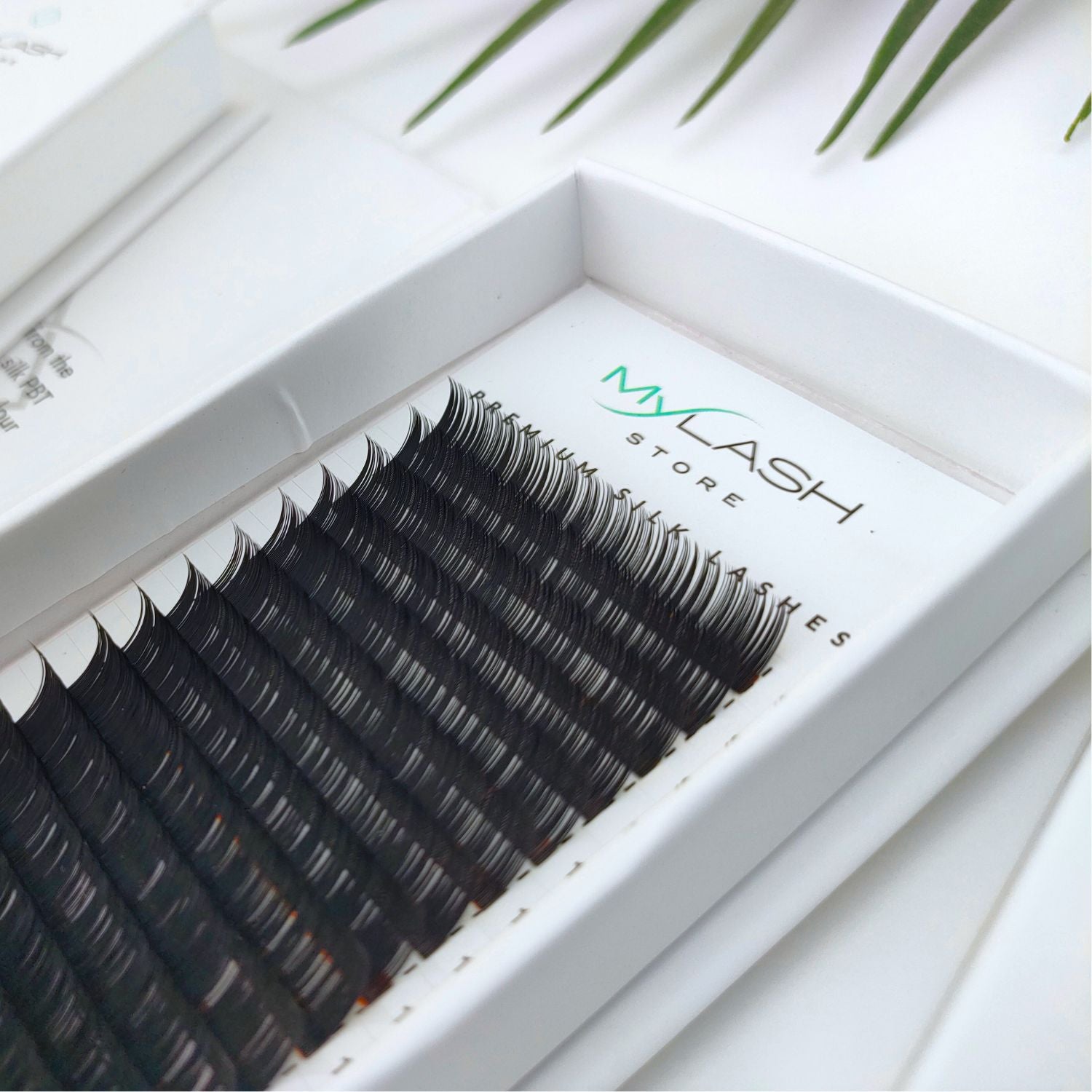 Premium Silk Individual Lash Extensions Collection