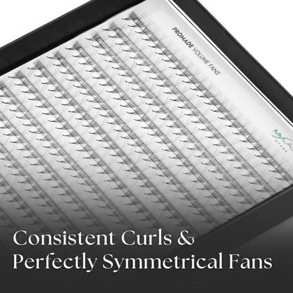 14D Narrow Pomade Fans Close Up