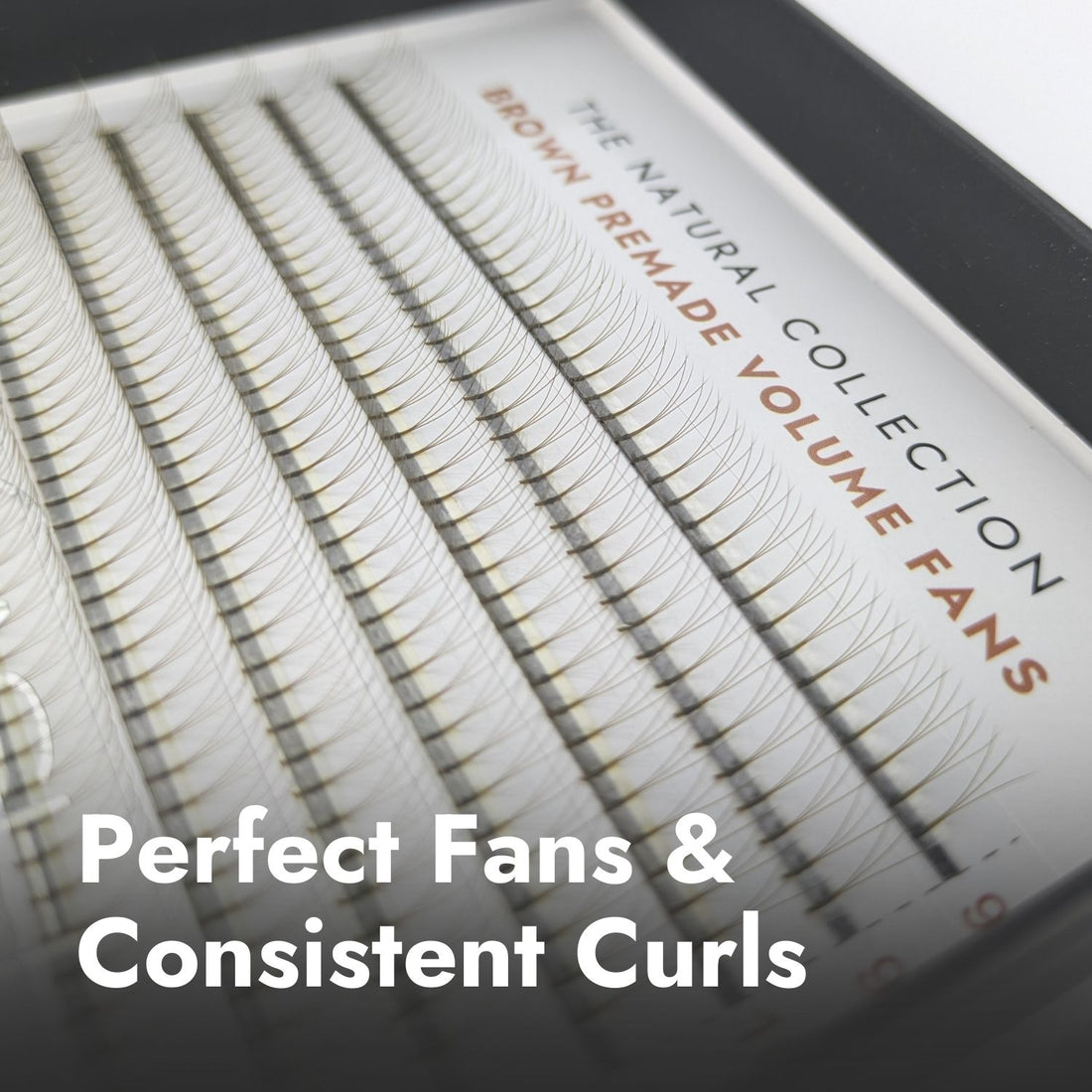 3D Brown Premade Fans - Long Stem Close Up