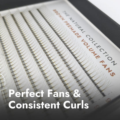 3D Brown Premade Fans - Long Stem Close Up