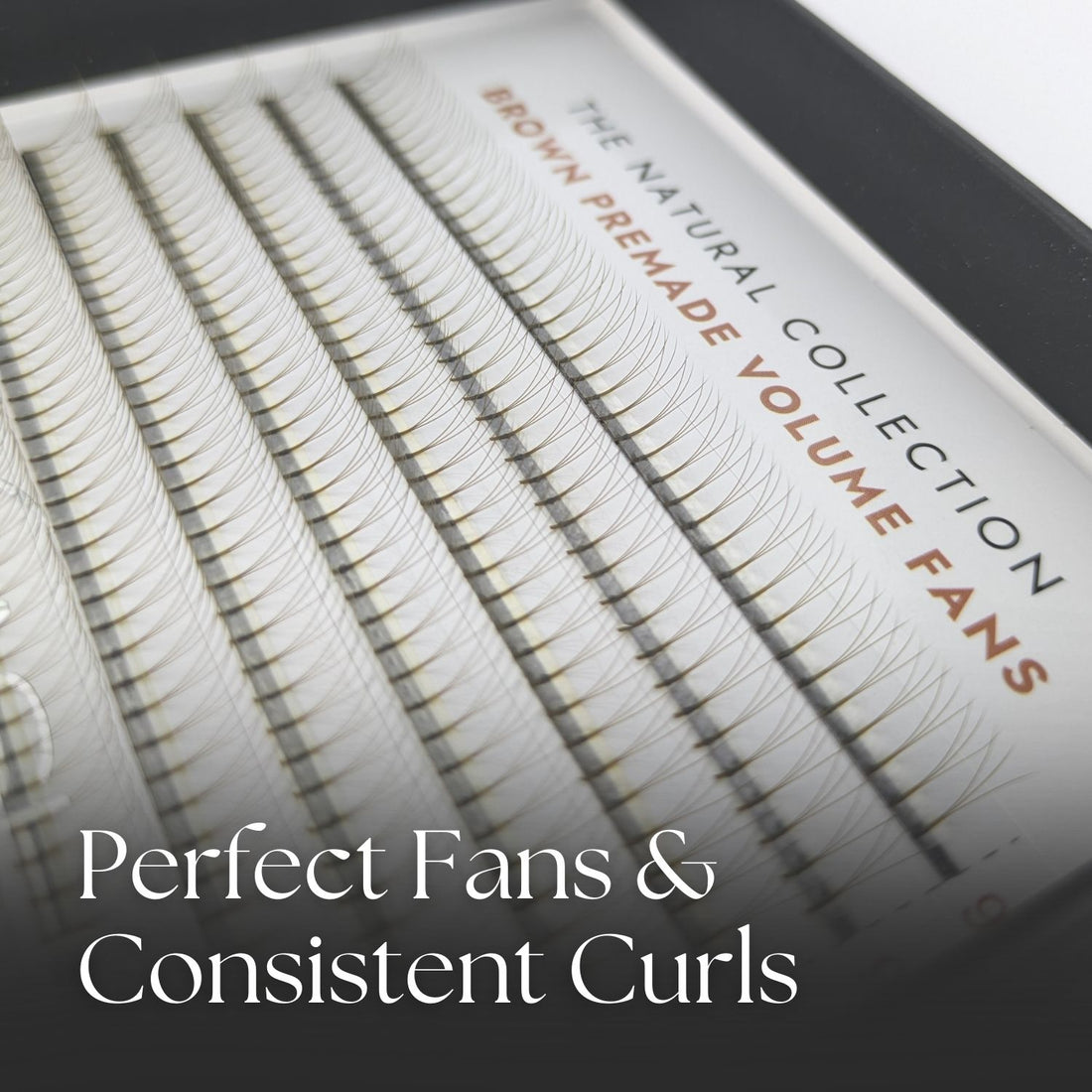 3D Brown Premade Fans Close Up