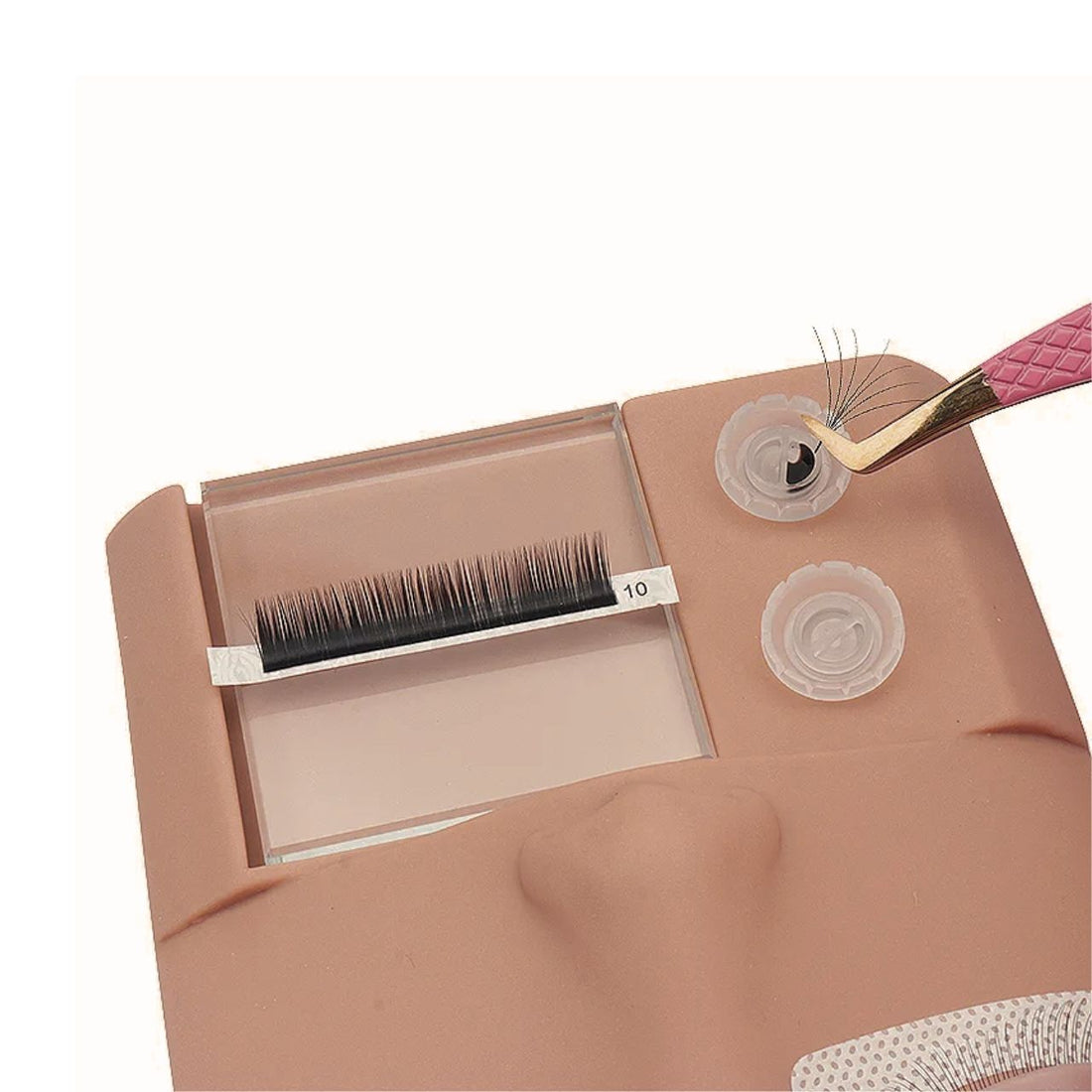 Lash mannequin with glass palette