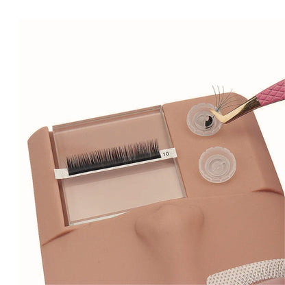 Lash mannequin with glass palette