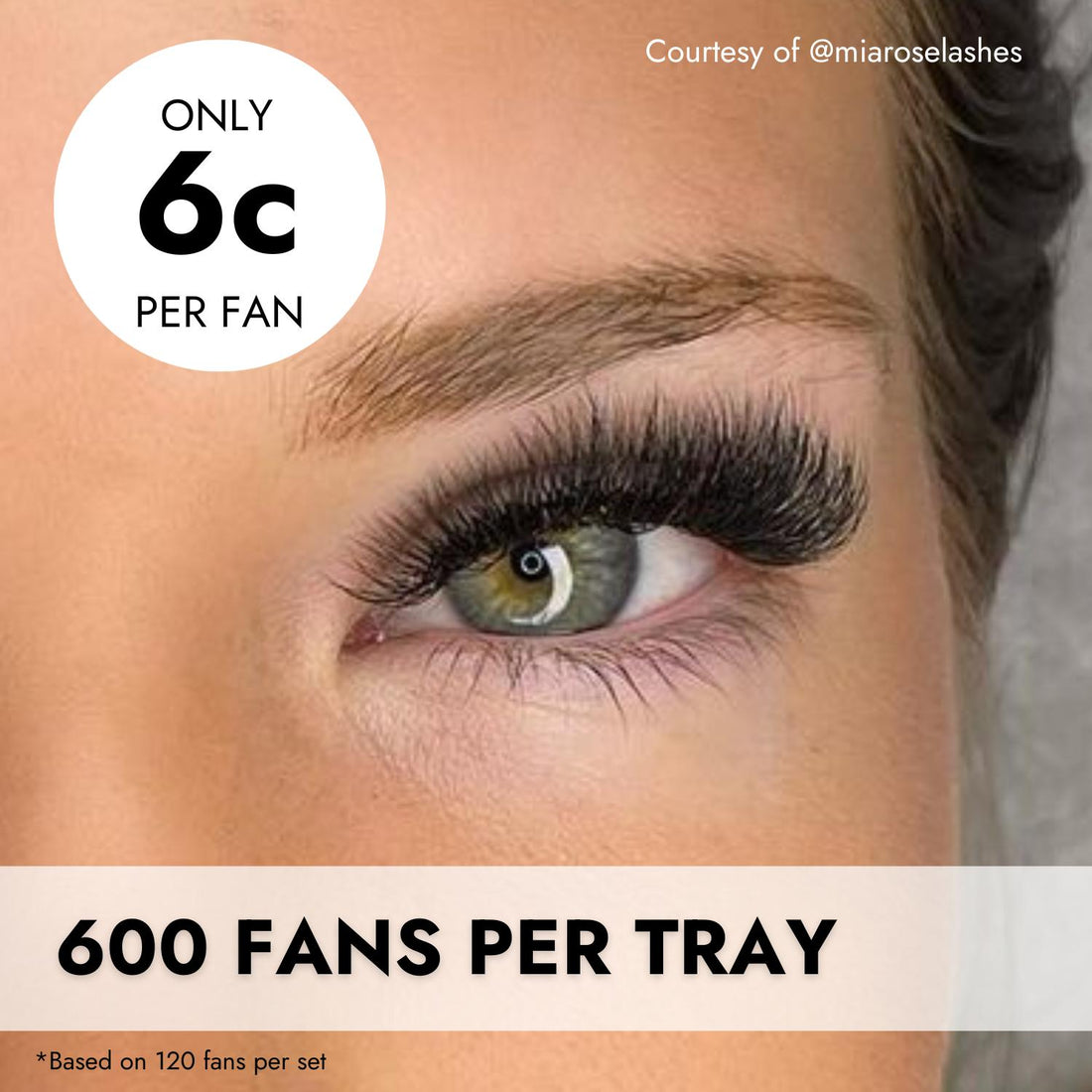 Created With My Lash Store 5D Promade Fans