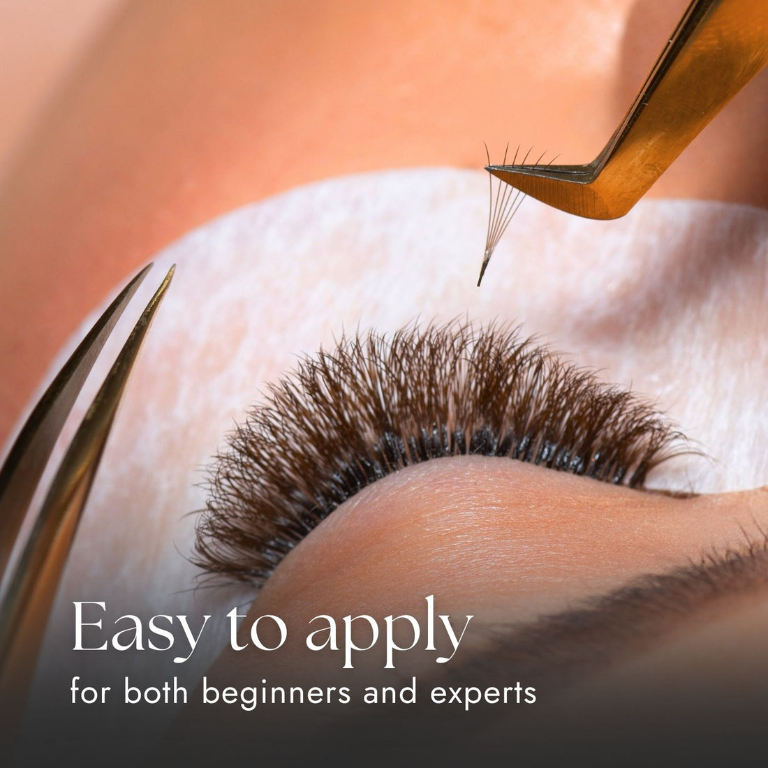 Brown Premade Fans - Easy to Apply