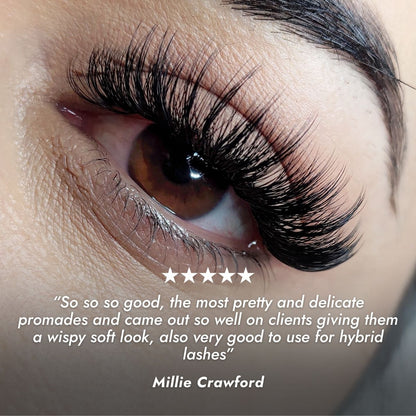 Wispy Promade Volume Fan Customer Review
