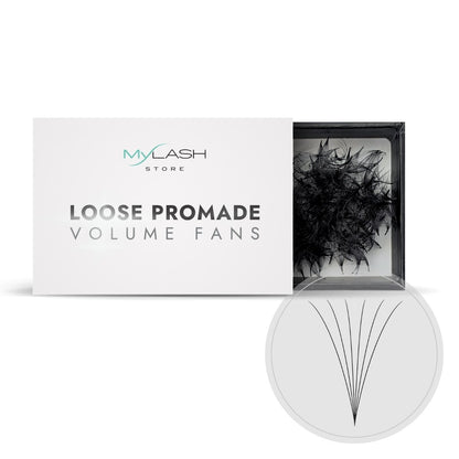 6D Loose Promade Fans