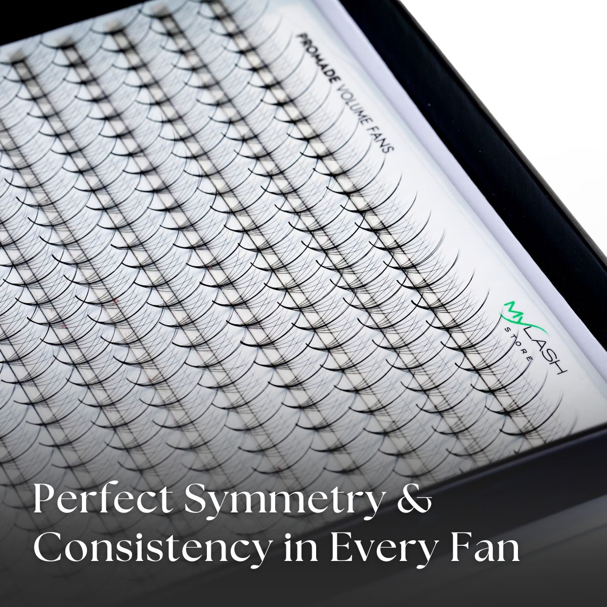 7D Wispy Promade Volume Fans Close Up