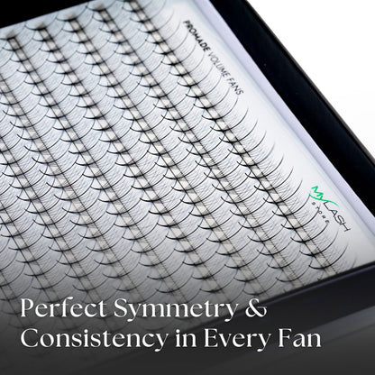 7D Wispy Promade Volume Fans Close Up