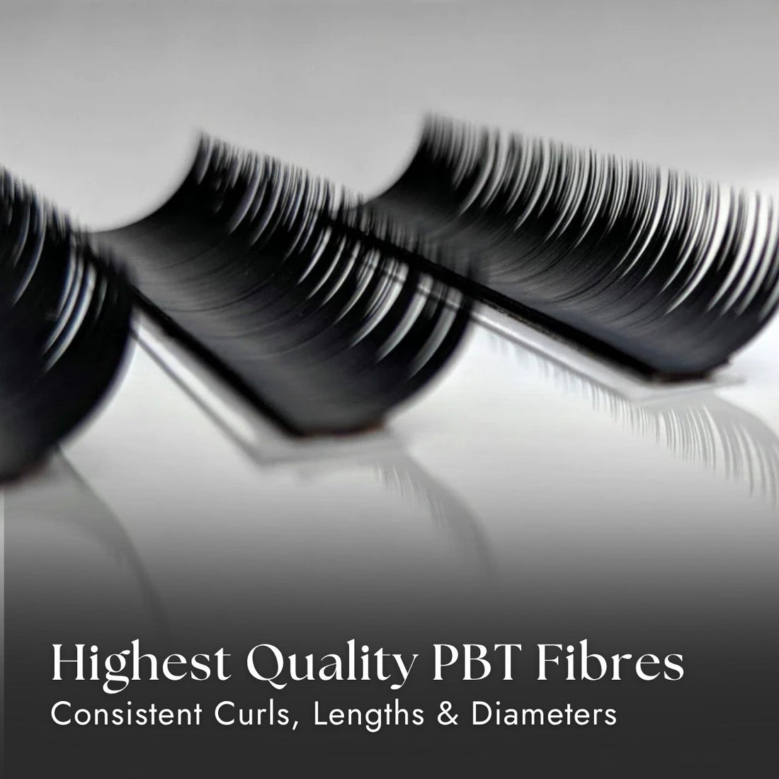 Close-up of false eyelashes with text highlighting &