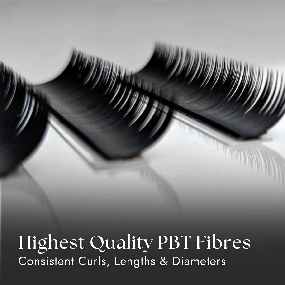 Close-up of false eyelashes with text highlighting &