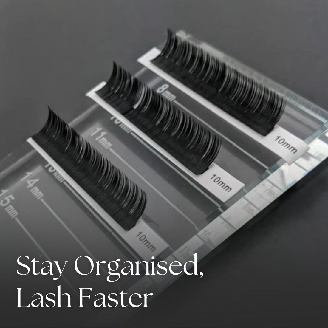 Flat Crystal Lash Pallet with Lash Strips