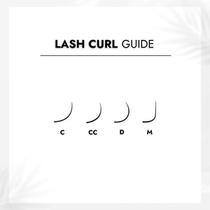 Promade Volume Fans Lash Curl Guide