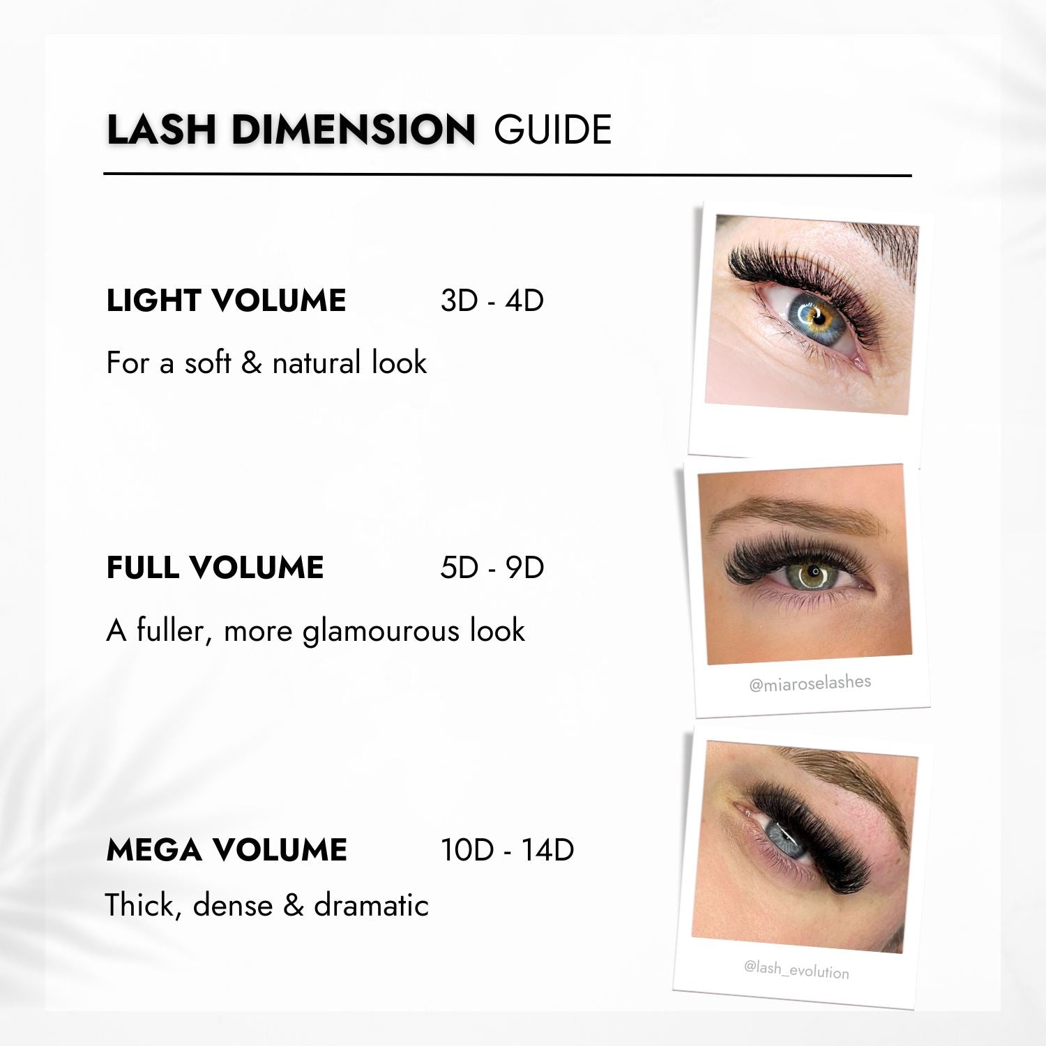 Promade Fans Lash Dimension Guide