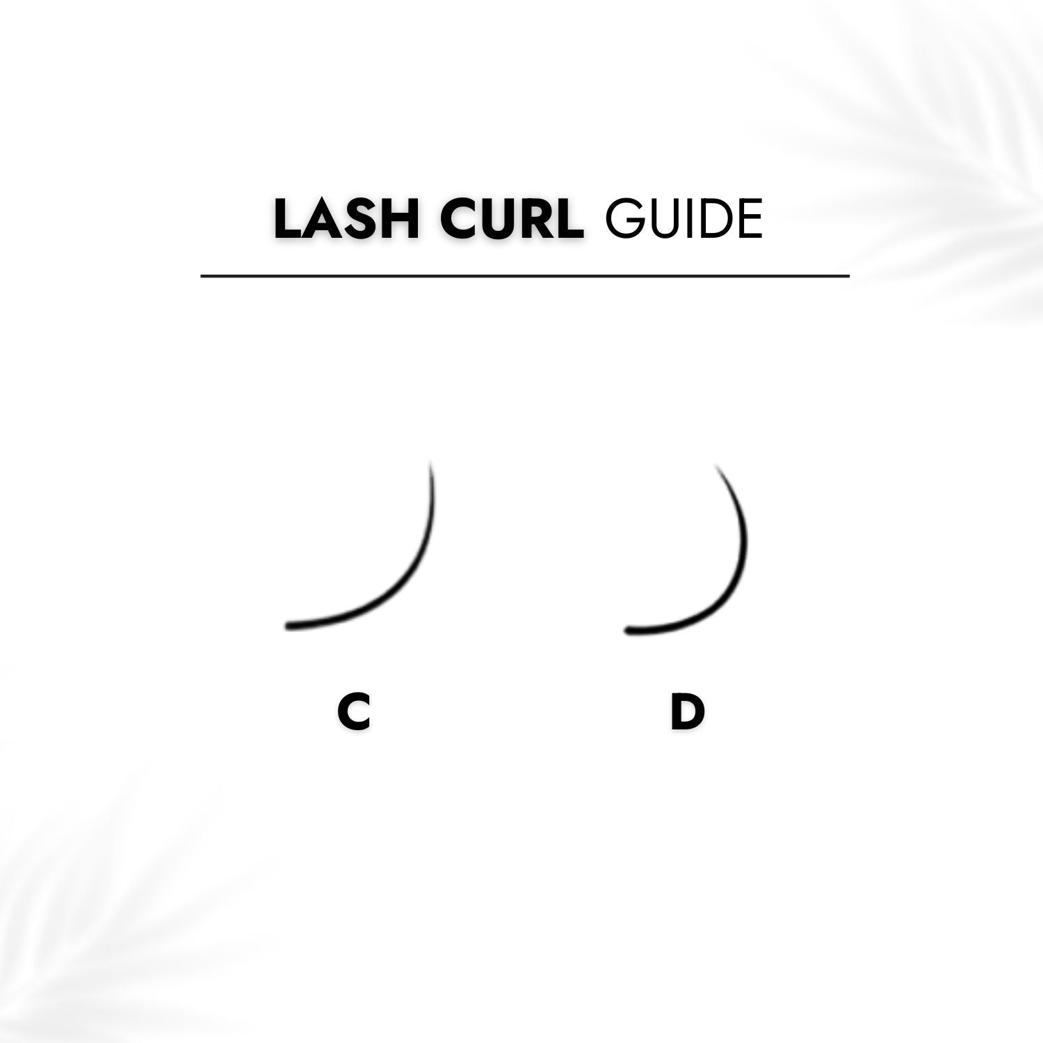 7D Loose Promade Fans - Lash Curl Guide