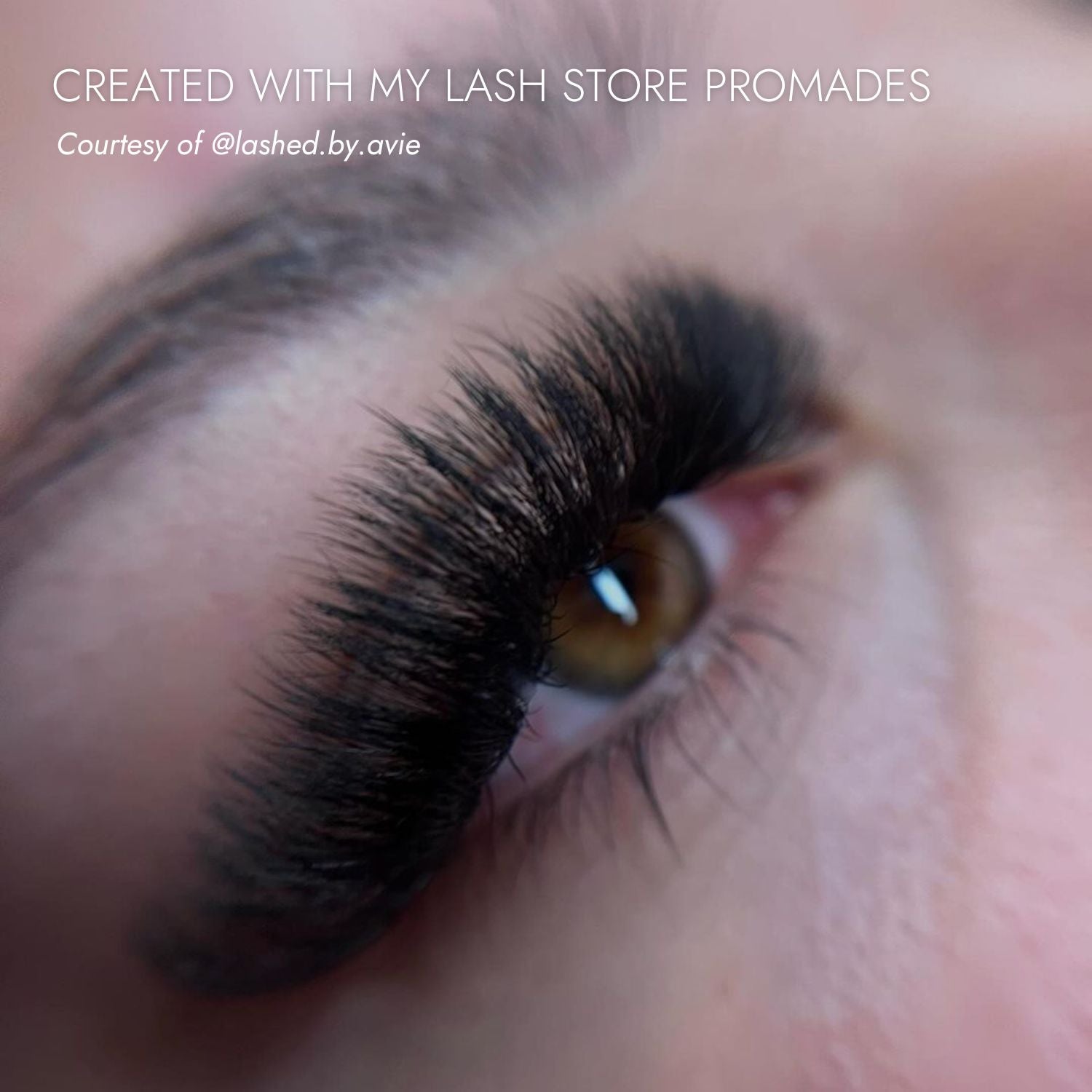 7D Loose Promade Fans - My Lash Store