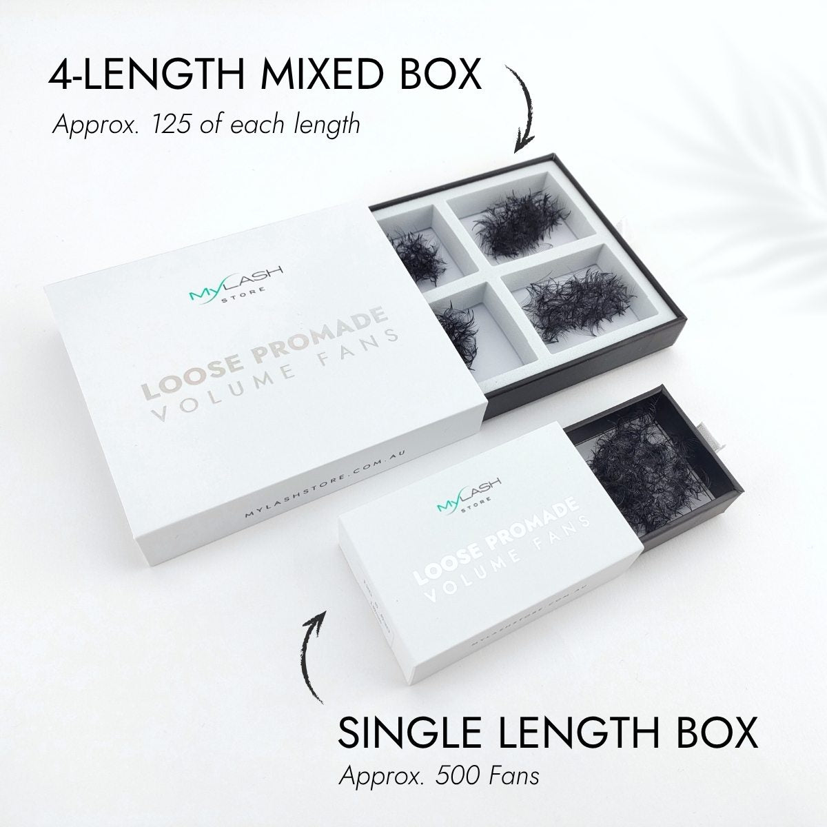 4D Loose Promade Fans (500 Fans)