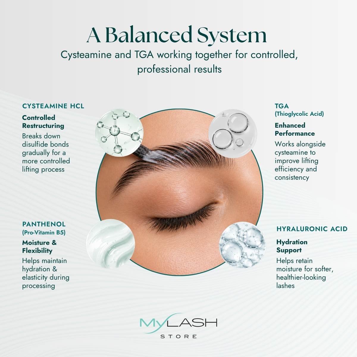 Total  Care lash lift &amp; brow lamination system main ingredients graphics on a white background
