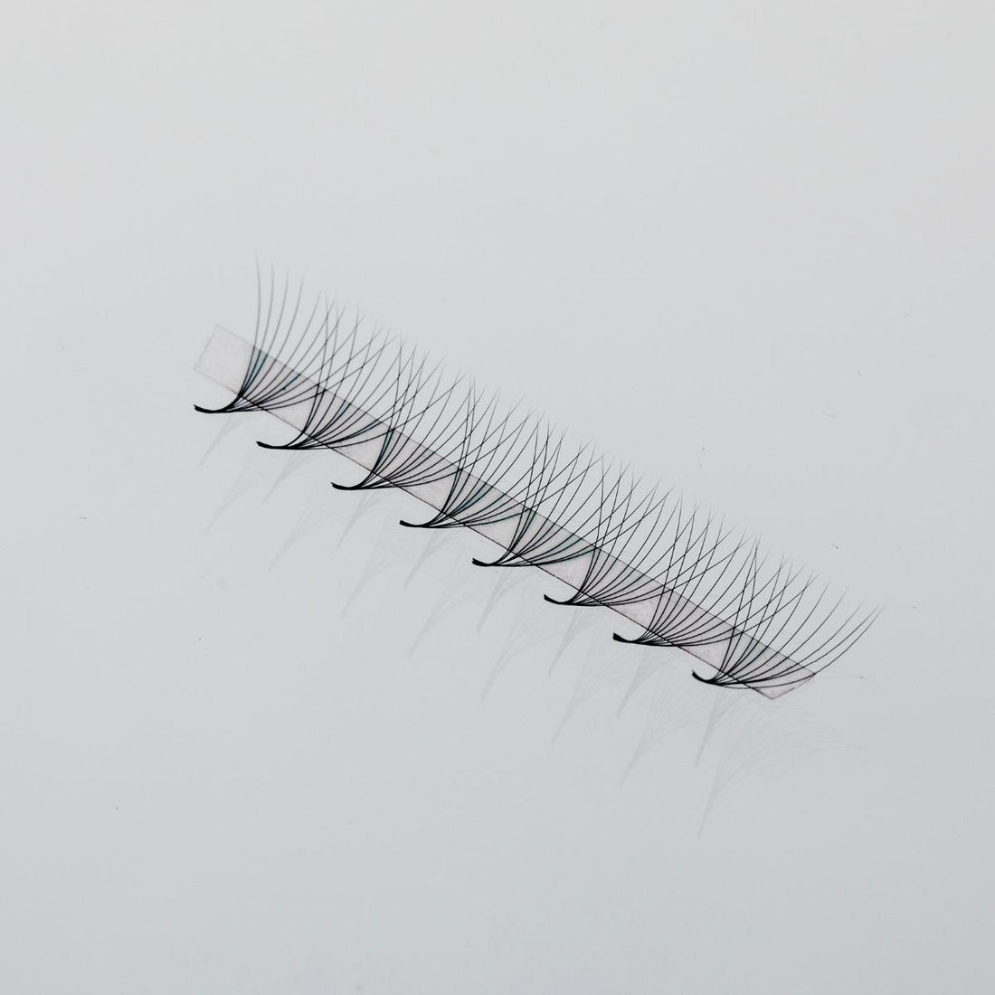10D Rapid Promade Volume Fans Lash Strip