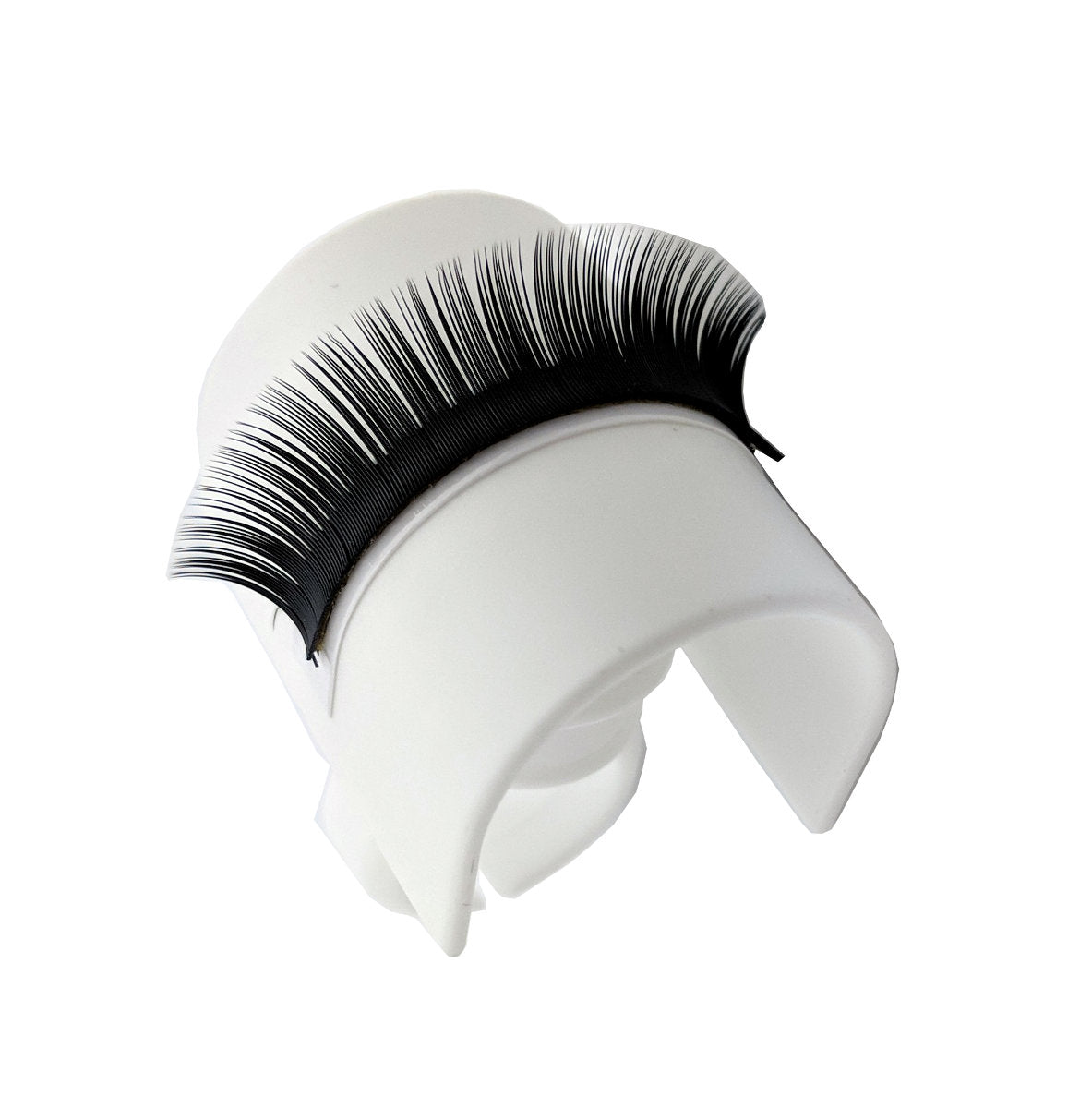 Lash Bridge