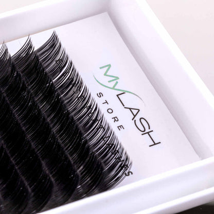 My Lash Store Ellipse Flat Lashes Close Up