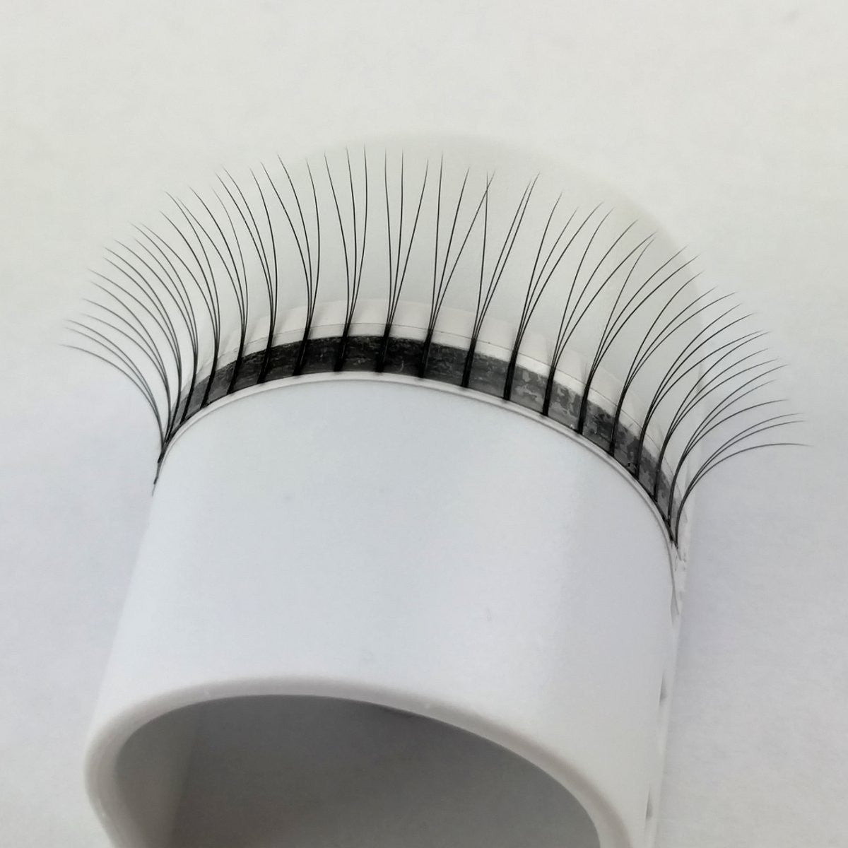 Lash Tray - 3D Pre Made Volume Fans - C Curl